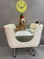 Ozonbad hond, Dieren en Toebehoren, Ophalen, Zo goed als nieuw, Overige