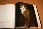 Ich, Katze - Fotoboek Katten, Ophalen of Verzenden, Gelezen, Katten