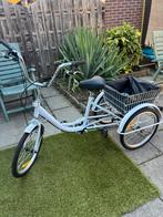 Driewieler voor volwassene met zeven versnellingen, Ophalen, Zo goed als nieuw