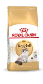 Ragdoll brokken, Dieren en Toebehoren, Ophalen