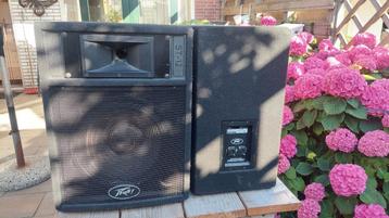 2 stuks peavey st12 speakers beschikbaar voor biedingen