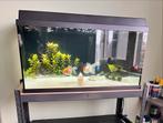 Aquarium 110 liter, Dieren en Toebehoren, Ophalen, Gebruikt, Leeg aquarium