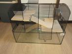 Hamsterkooi + toebehoren, Minder dan 60 cm, Kooi, Minder dan 75 cm, Ophalen of Verzenden