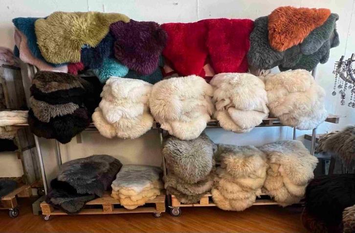 Originele schapenvachten 2 stuks 35 euro, Huis en Inrichting, Woonaccessoires | Plaids en Woondekens, Gebruikt, Ophalen of Verzenden