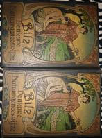 Bilz – De Nieuwe Natuurgeneeswijze (2-delige set, 1923), Ophalen, Bilz