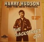 Harry Hudson & New Friends > The Backstreet Cat, Gebruikt, 7 inch, Single, Ophalen of Verzenden