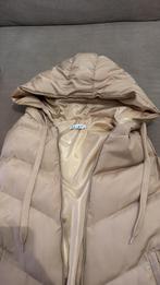 Bodywarmer nieuw, Kleding | Dames, Ophalen of Verzenden, Zo goed als nieuw, Maat 36 (S), Beige