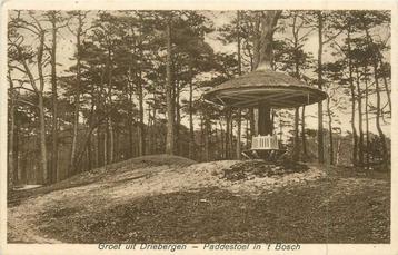 (381-060-009) Driebergen Paddenstoel in 't  Bosch beschikbaar voor biedingen