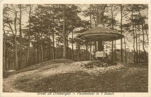 (381-060-009) Driebergen Paddenstoel in 't  Bosch, Verzamelen, Ansichtkaarten | Nederland, Utrecht, Verzenden