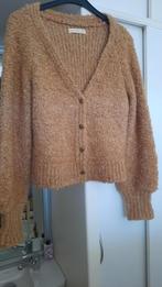 ISLA IBIZA Vest Beige - Maat L, Kleding | Dames, Maat 42/44 (L), Ophalen of Verzenden, Gedragen, ISLA IBIZA