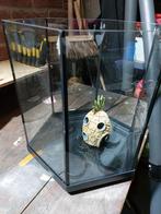 Aquarium 30L, Dieren en Toebehoren, Vissen | Aquaria en Toebehoren, Ophalen, Gebruikt, Leeg aquarium