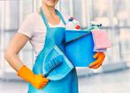 Schoonmakers en huishuidelijk hulp, Schoonmaken