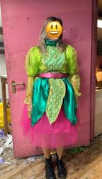 Loopgroep carnaval carnavalspakken carnavals pak optocht, Kleding | Dames, Carnavalskleding en Feestkleding, Ophalen, Zo goed als nieuw