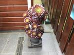 Plant, Tuin en Terras, Ophalen, Zomer, Volle zon