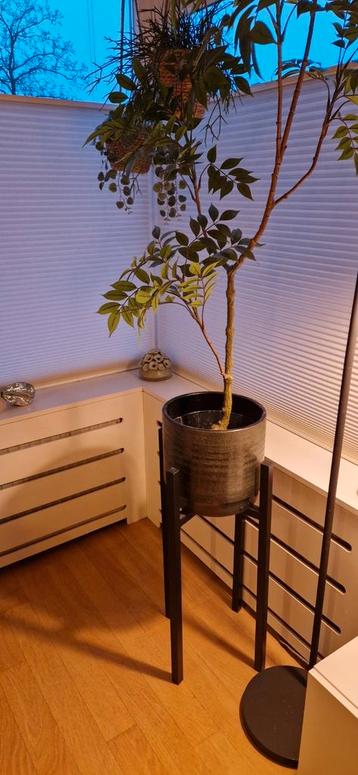 Plantenstandaard Mica Decorations Ascot zwart 37,5x37,571 beschikbaar voor biedingen