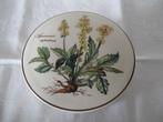 VILLEROY & BOCH deksel doosje Botanica goede staat, Ophalen of Verzenden