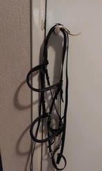 Te koop bitloos hoofdstel, Dieren en Toebehoren, Paarden en Pony's | Hoofdstellen en Tuigage, Ophalen of Verzenden, Gebruikt, Overige soorten