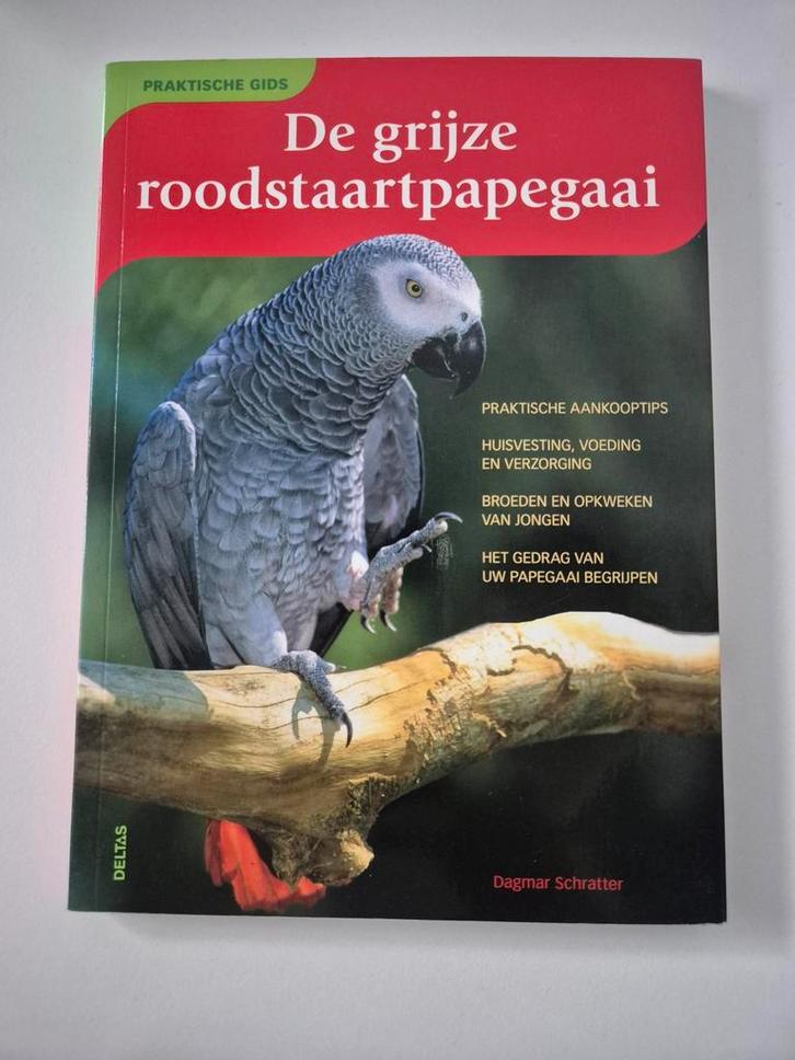 De Grijze Roodstaart Papegaai - Zo Goed Als Nieuw, Boeken, Dieren en Huisdieren, Zo goed als nieuw, Vogels, Ophalen of Verzenden