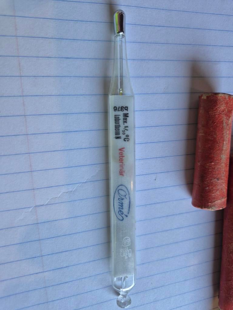 Oude thermometer, Ophalen of Verzenden