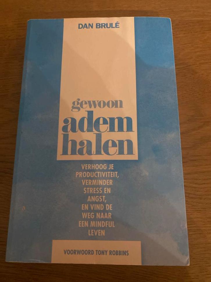 Gewoon Ademhalen - Dan Brulé, Boeken, Esoterie en Spiritualiteit, Zo goed als nieuw, Achtergrond en Informatie, Meditatie of Yoga