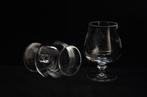 Schott Zwiesel - Cognacglas van kristal - Regina, Verzamelen, Glas en Borrelglaasjes, Ophalen of Verzenden, Gebruikt, Overige typen