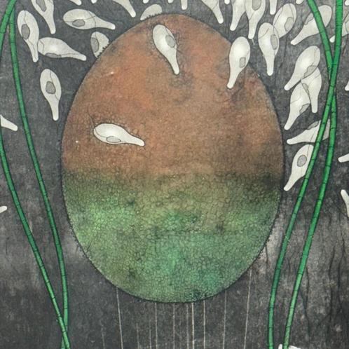Harry van Kruiningen (1906-1996), Antiek en Kunst, Kunst | Etsen en Gravures, Ophalen of Verzenden