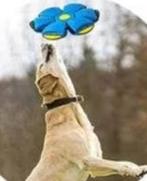 Vliegende Bal voor Honden - Frisbee en Bal, Frederik hendrikstraat 124, Verzenden, Hondenballen, Nieuw