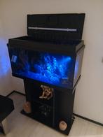 Juwel aqaurium diamond met Meubelkast, Ophalen, Zo goed als nieuw, Leeg aquarium