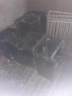 Biggen Droogvoer bakken, Meerdere dieren, Varken