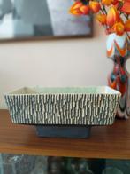 Berkenbast cactuspot Midcentury 31cm x 15cm, Ophalen of Verzenden, Rond, Minder dan 30 cm