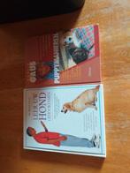 flexi riem harnas en boeken, Ophalen of Verzenden, Zo goed als nieuw, Hondenriem