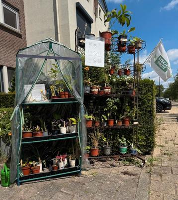 Plantenbieb Beuningen! Kom planten/stekken ruilen/doneren! beschikbaar voor biedingen