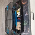 Hamsterkooi met toebehoren, Ophalen, Gebruikt, Kooi, Hamster