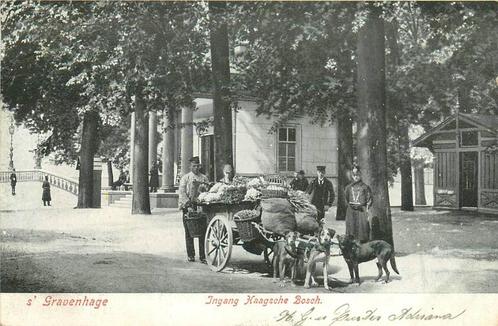 (388-199-049) Den Haag Ingang Haagsche Bosch, Verzamelen, Ansichtkaarten | Nederland, Zuid-Holland, Verzenden