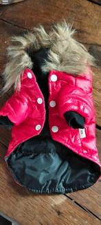 Jasje voor Chihuahua of kleine andere soort Roodkleurig, ., Ophalen of Verzenden, Zo goed als nieuw, .