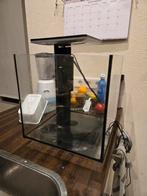 Aquarium superfish qubic 30pro led, Dieren en Toebehoren, Vissen | Aquaria en Toebehoren, Ophalen, Zo goed als nieuw, Leeg aquarium