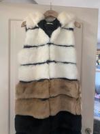 Ongedragen bodywarmer van het merk Relish maat L, Overige kleuren, Maat 42/44 (L), Nieuw, Ophalen of Verzenden