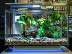 Superfish quadro 70 pro, Ophalen of Verzenden, Zo goed als nieuw, Leeg aquarium
