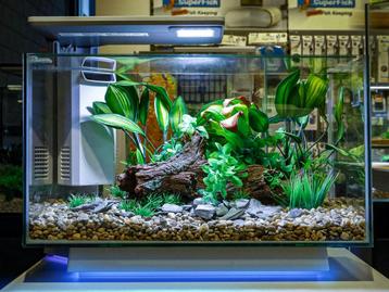 Superfish quadro 70 pro beschikbaar voor biedingen