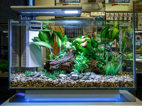 Superfish quadro 70 pro, Dieren en Toebehoren, Vissen | Aquaria en Toebehoren, Zo goed als nieuw, Leeg aquarium, Ophalen of Verzenden