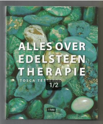 Alles over edelstenen therapie - Tosca Tetteroo beschikbaar voor biedingen