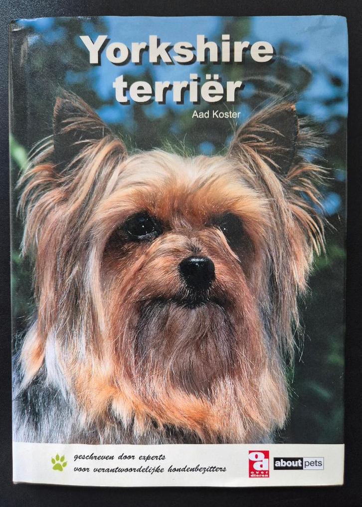 Yorkshire Terriër (en Australian Silky Terrier )- Aad Koster, Boeken, Dieren en Huisdieren, Zo goed als nieuw, Honden, Verzenden