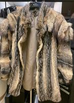 Een echte bontjas, Kleding | Dames, Ophalen of Verzenden, Zo goed als nieuw, Maat 46/48 (XL) of groter, Bruin