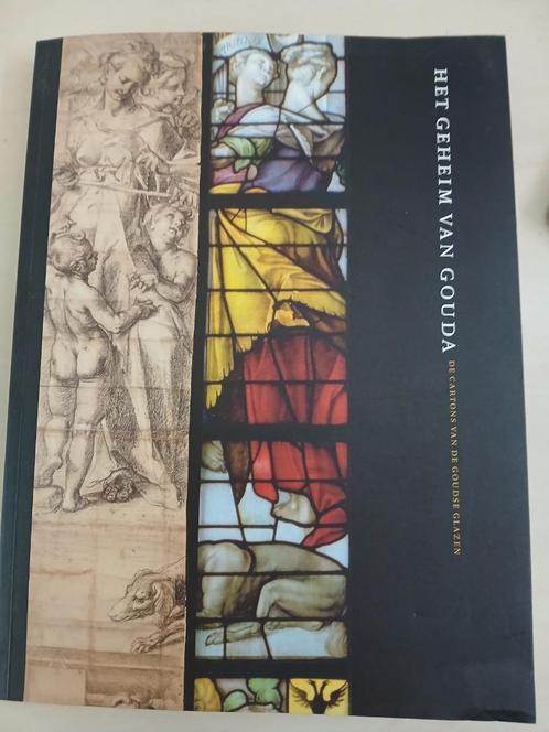 Het Geheim van Gouda de cartons van de Goudse Glazen, Boeken, Kunst en Cultuur | Beeldend, Zo goed als nieuw, Schilder- en Tekenkunst
