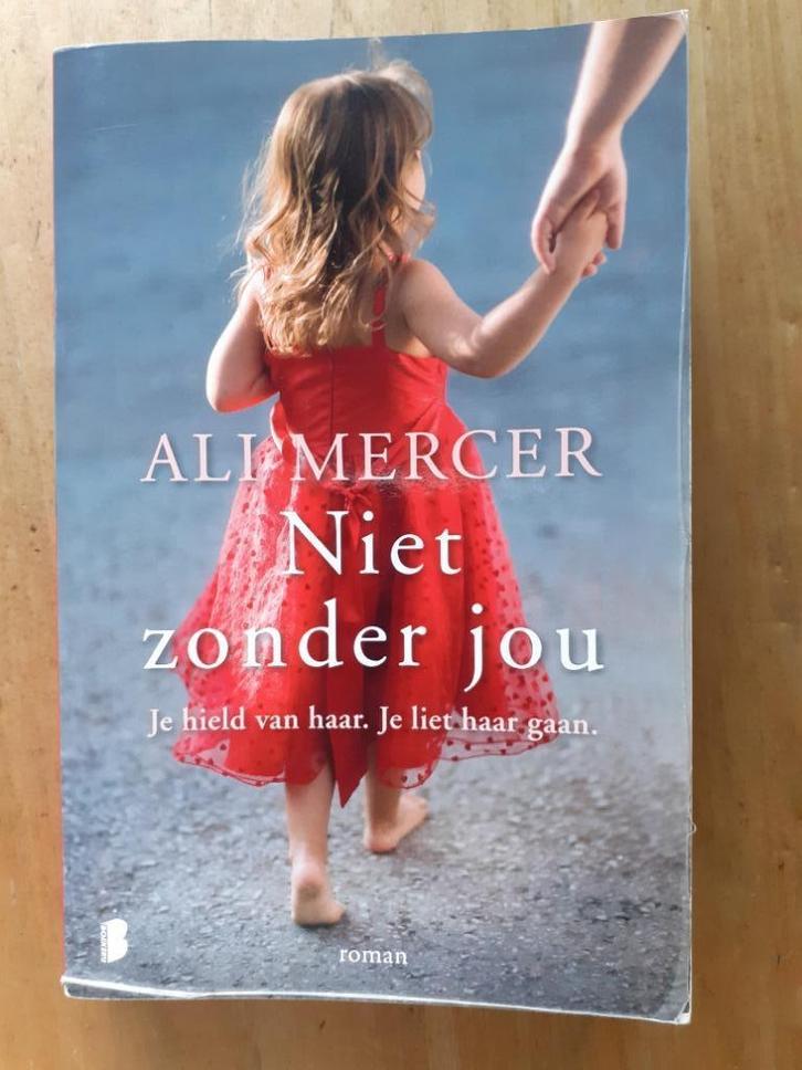Boek ‘Niet zonder jou’ van Ali Mercer, Boeken, Romans, Gelezen, Europa overig, Ophalen of Verzenden