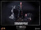 Hot toys Terminator T-800 Battle Damaged collectors editie, Ophalen of Verzenden, Zo goed als nieuw, Film, Actiefiguur of Pop