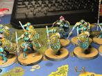 10x Vindictors Age of Sigmar Stormcast Eternals, Hobby en Vrije tijd, Wargaming, Gebruikt, Figuurtje(s), Warhammer, Ophalen of Verzenden