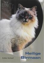 Heilige Birmaan, Ophalen of Verzenden, Nieuw