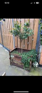 Stapelbare stalen bakken / bloembakken 2verschillende maten, Tuin en Terras, Ophalen of Verzenden, Zo goed als nieuw, Metaal, Minder dan 60 cm