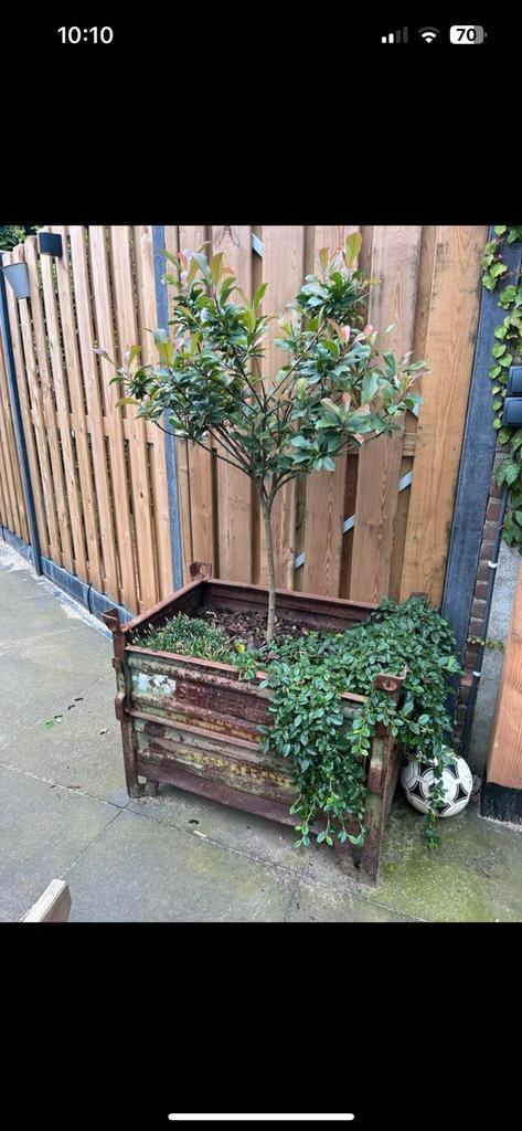 Stapelbare stalen bakken / bloembakken 2verschillende maten, Tuin en Terras, Bloembakken en Plantenbakken, Zo goed als nieuw, Metaal